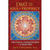DMT and the Soul of Prophecy