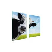 shumee STEKLENA ZAŠČITNA KROŽNIKA ZA KUHINJO 65x52 COW