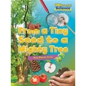 Fundamental Science Key Stage 1: From a Tiny Seed to a Mighty Tree: How Plants Grow