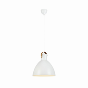 Markslöjd 106551 - Lestenec na vrvici EAGLE 1xE27/60W/230V