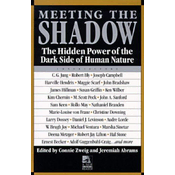 Meeting the Shadow