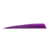 Trueflight Feathers 5” Shield RW