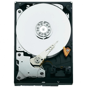 SEAGATE tvrdi disk CONSTELLATION ES 4TB ST4000NM0033