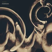 Siamese - Dissolution (Gold Coloured) (LP)