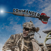 Pikado puščice KARELLA/Commander - Silver/s kovinsko konico
