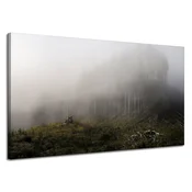 shumee Platno Narava Megla v gozdu 120x70 cm