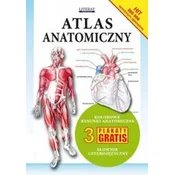 Atlas anatomiczny