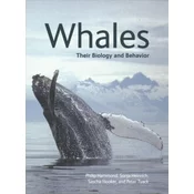 Whales