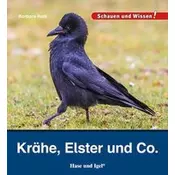 Krähe, Elster und Co.