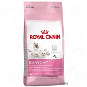 Royal Canin Mother Babycat - 4 kg