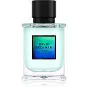 David Beckham True Instinct 50 ml parfumska voda za moške
