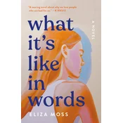 What Its Like in Words