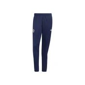 ADIDAS PERFORMANCE Športne hlače FC Bayern München mornarska / temno rdeča / bela