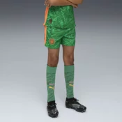 Puma Manchester City 25/26 Goalkeeper Shorts Youth, Green, Size 13-14Y, Clothing