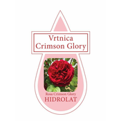 ZAKLADNICA DOBRIH I. Hidrolat - vrtnica (Crimson Glory Clg.