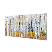 tulup.si Slika na akrilnem steklu Jesen breza 140x70 cm 4 obešalnika