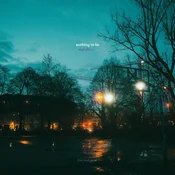 Fine and Great - Nothing to Be Sad About (LP)