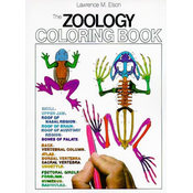 Zoology Colouring Book