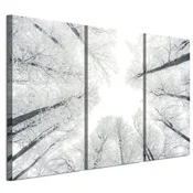 shumee Slika na italijanskem platnu 90 x 60 cm triptih - skandinavski slog - narava Slika na italijanskem platnu 120 x 80 cm triptih - skandinavski slog - narava