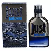 ROBERTO CAVALLI Just Cavalli Him 2013 toaletna voda za moške 30 ml