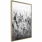 Poster - Shadow of Meadow 20x30