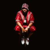 Raekwon - The Emperors New Clothes (LP)