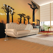 Foto tapeta - African baobab trees 200x154