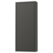 HAVBÄCK Zidni ormaric s vratima, tamnosiva, 40x15x95 cm