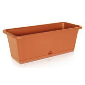 Saksija Camelia 50X18X17Cm Terakota