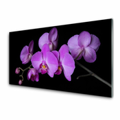 tulup.si Slika na steklu Orhideja orhideje 140x70 cm 2 obešalnika
