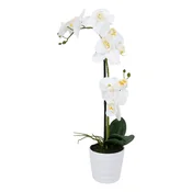 Homestar Orhideja veter v vrtu 51 cm bela