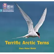 Terrific Arctic Terns