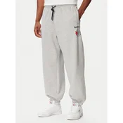Reebok Spodnji del trenirke Eryk RK25733CCM Svetlo siva Regular Fit
