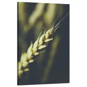 shumee Platno Botanika Pšenični klas 50x80 cm
