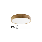 Plafonsko svetlo za kupatilo CLEO 4xE27/24W/230V IP54 pr. 47,5 cm hrast