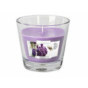 eoshop Sveča v kozarcu AURELIA Dišeča SIVKA 160g