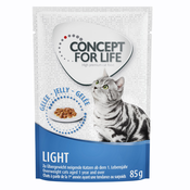 Concept for Life Light Adult - izboljšana receptura! - Kot dopolnilo: 12x85 g Concept for Life Light v želeju