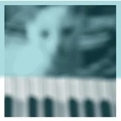 Peter Broderick - Piano Works Vol.1 (Limited Edition) (Clear Coloured) (2 LP)