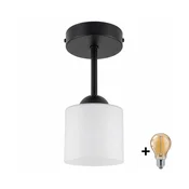 BRILAGI - LED plafonski luster RETRO GLASS 1xE27/60W/230V precnik 10 cm crna/bela
