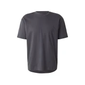 HOLLISTER Majica  tamo siva