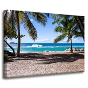 shumee Platno Narava Ocean in palme 70x50 cm