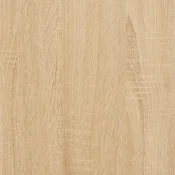 Vidaxl TV omarica 102x36x50 cm inženirski les