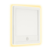 Telefunken 313806TF-LED Spoljna svetiljka sa senzorom LED/15W/230V IP44