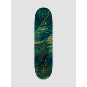 Element Jungle Gabriel Fortunato 8.0 Skateboard deska assorted
