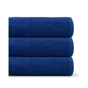 KRALJEVO MODRA BRISAČA 100x150 450G