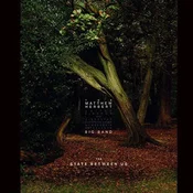 The Matthew Herbert Big Band - The State Between Us (3 LP)