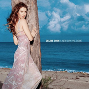 Celine Dion - A New Day Has Come (CD)