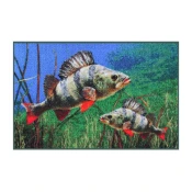 Predpražnik Delphin -Ostriž- 3D 60x40cm