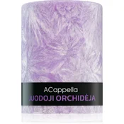 ACappella Black Orchid dišeča sveča 80 ml