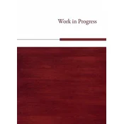 Work in Progress